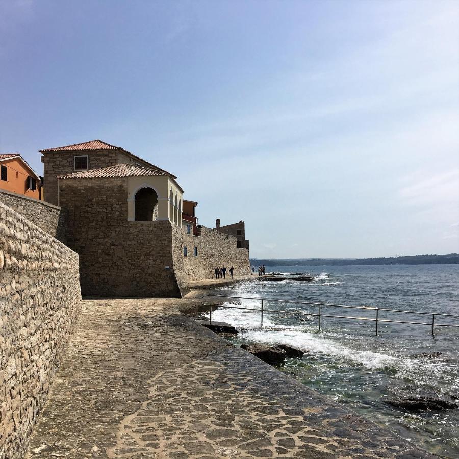 Ferienwohnung Sommer Novigrad Istria Dış mekan fotoğraf